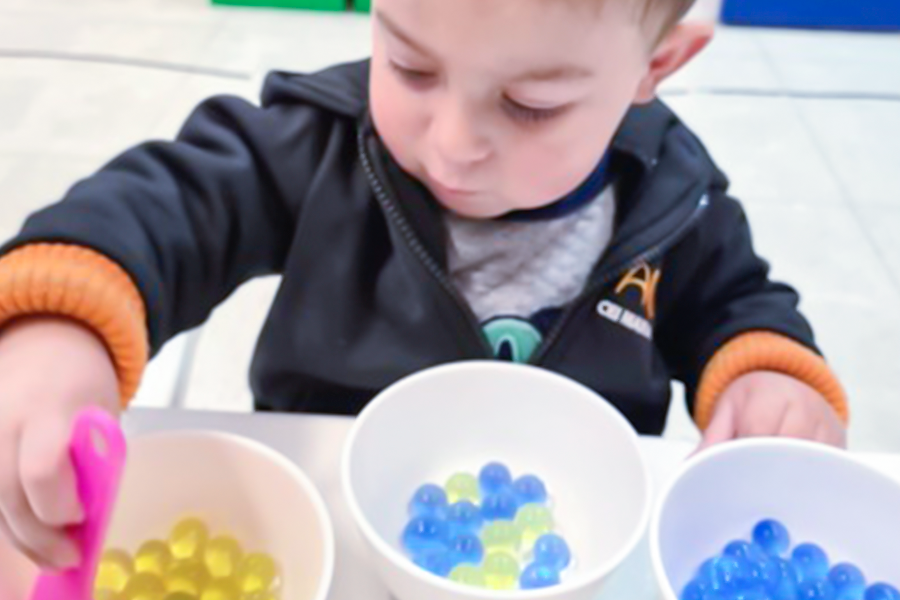 IP - Relatório 2022